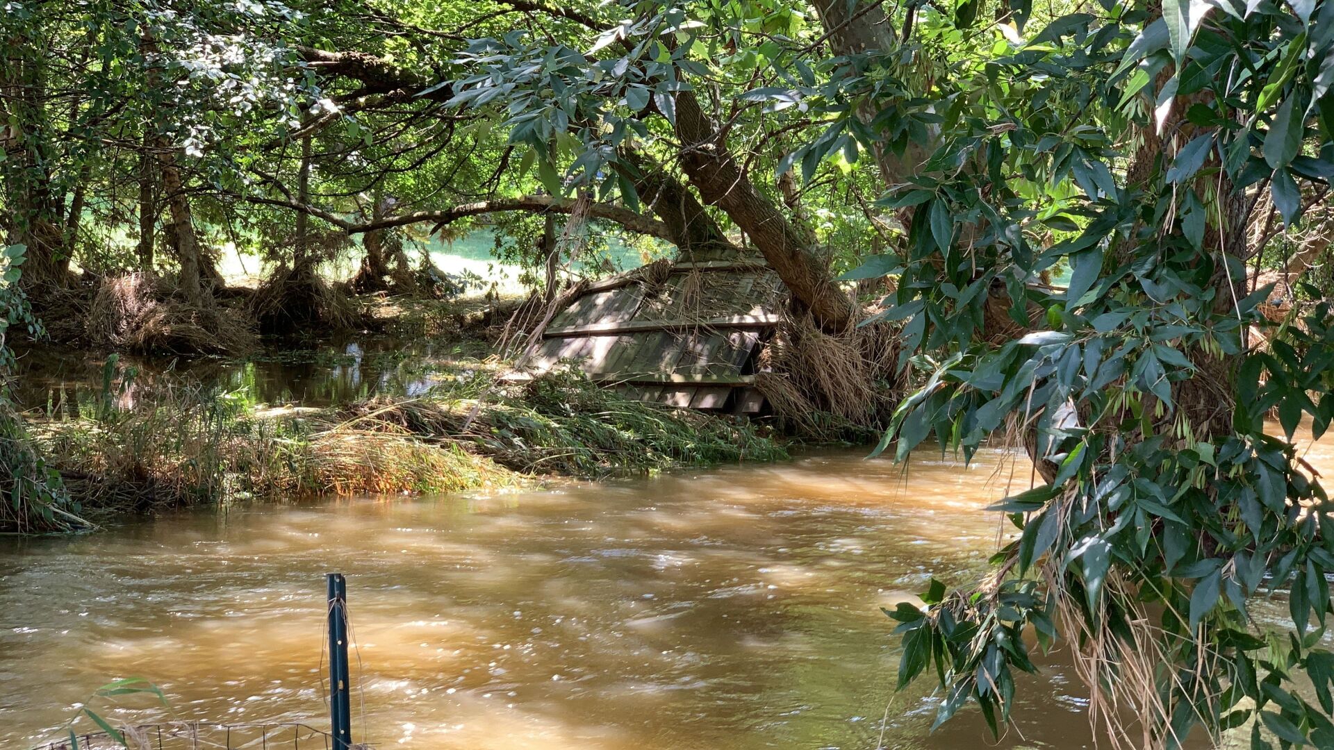 Willow Creek in Maidencreek